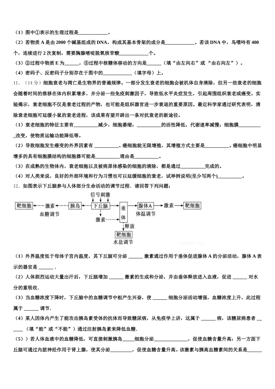 2025届广东省惠州市高一下生物期末考试模拟试题含解析_第3页