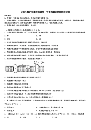 2025届广东惠东中学高一下生物期末质量检测试题含解析