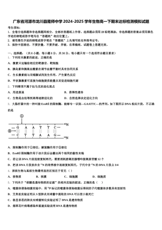广东省河源市龙川县隆师中学2024-2025学年生物高一下期末达标检测模拟试题含解析