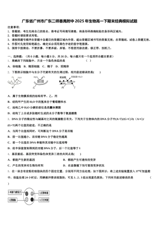 广东省广州市广东二师番禺附中2025年生物高一下期末经典模拟试题含解析