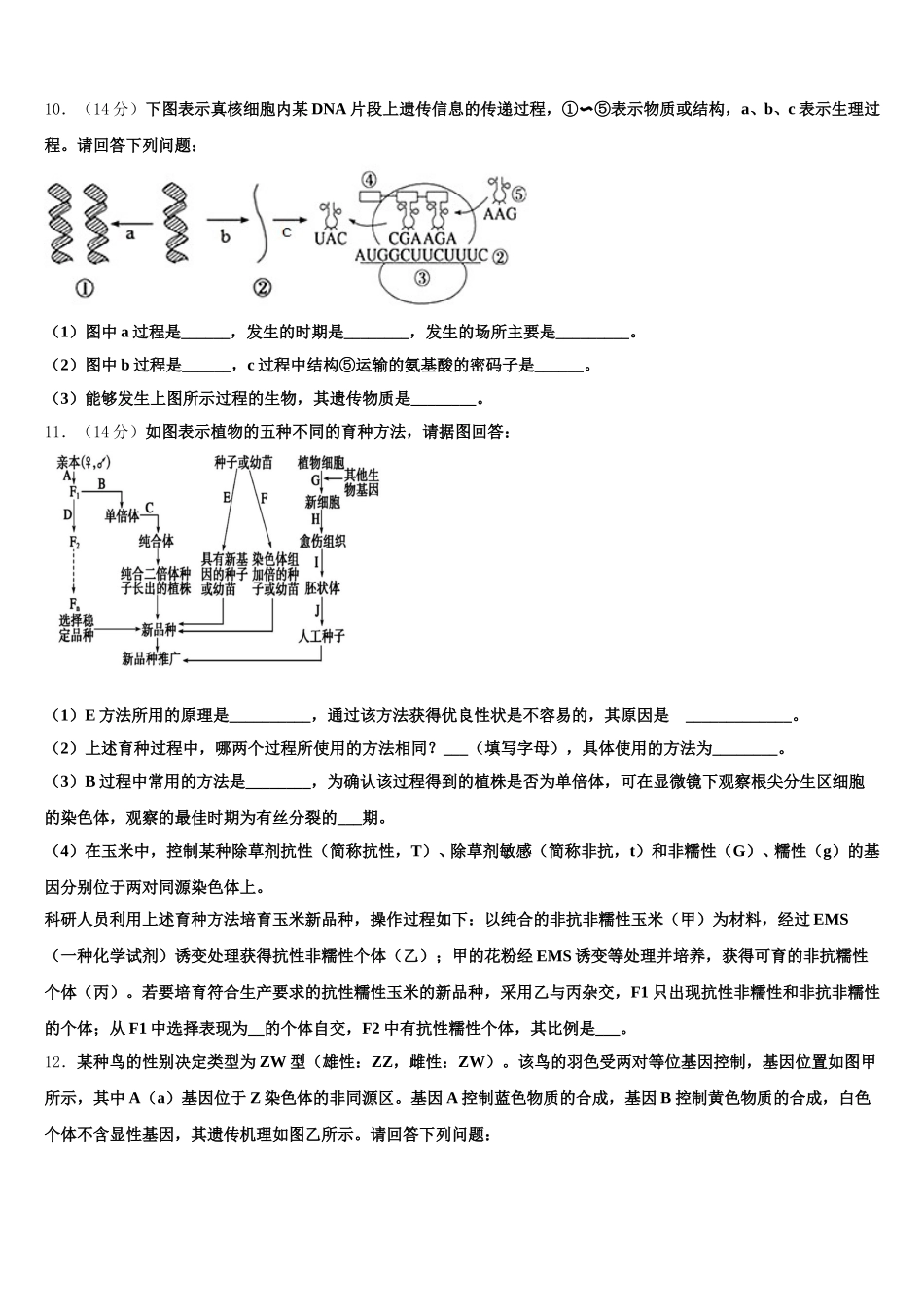 广东省揭阳市揭西县河婆中学2024-2025学年生物高一第二学期期末达标检测试题含解析_第3页