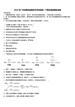 2025年广东省惠东县惠东中学生物高一下期末监测模拟试题含解析
