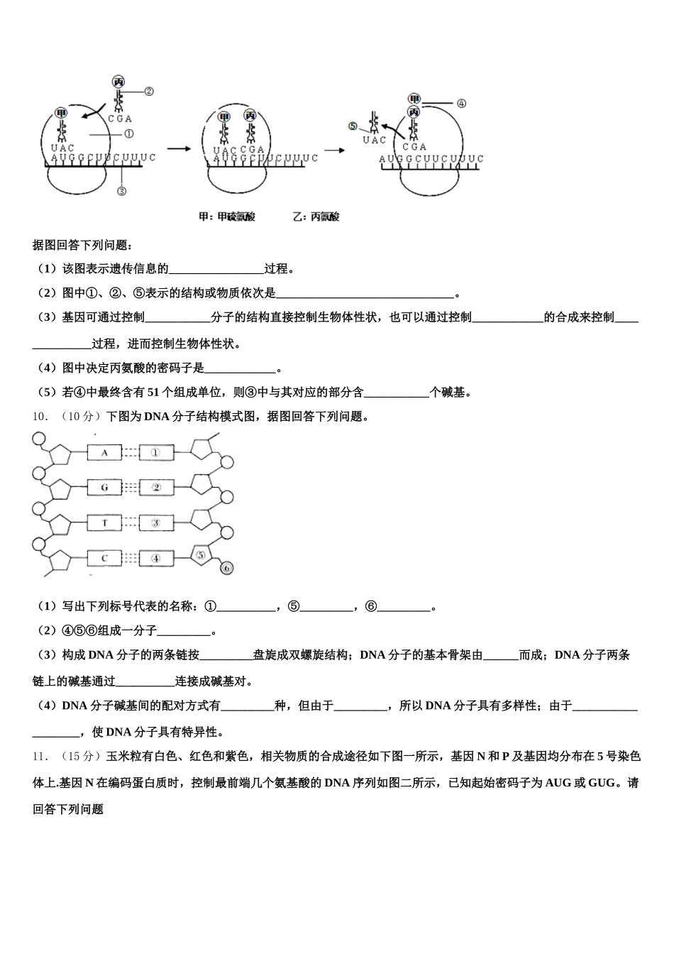 2025届广东省汕头市潮南区峡晖中学生物高一下期末教学质量检测模拟试题含解析_第3页
