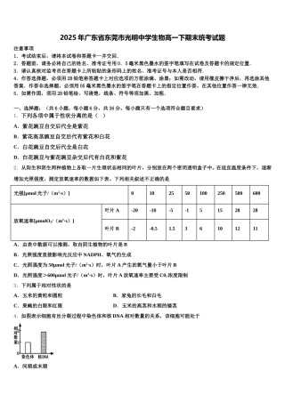 2025年广东省东莞市光明中学生物高一下期末统考试题含解析