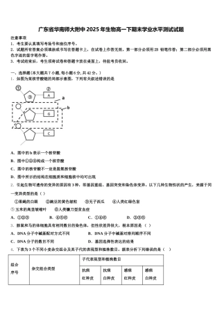 广东省华南师大附中2025年生物高一下期末学业水平测试试题含解析