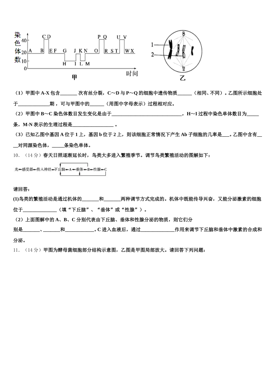 2025届广东省广州市越秀区实验中学生物高一下期末质量检测试题含解析_第3页