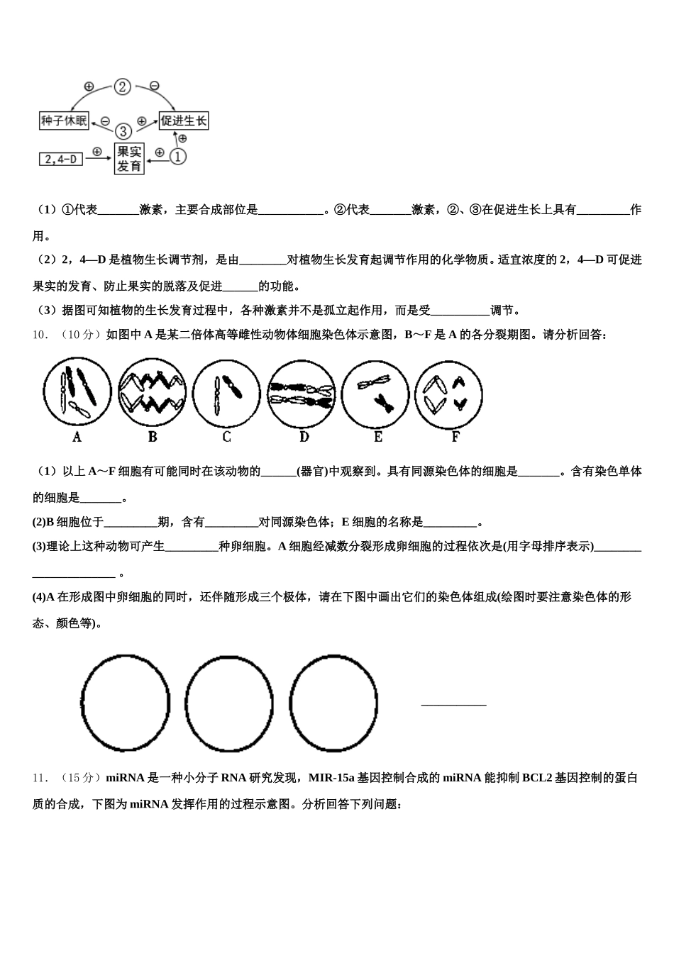2025届广东省佛山市超盈实验中学高一下生物期末调研试题含解析_第3页