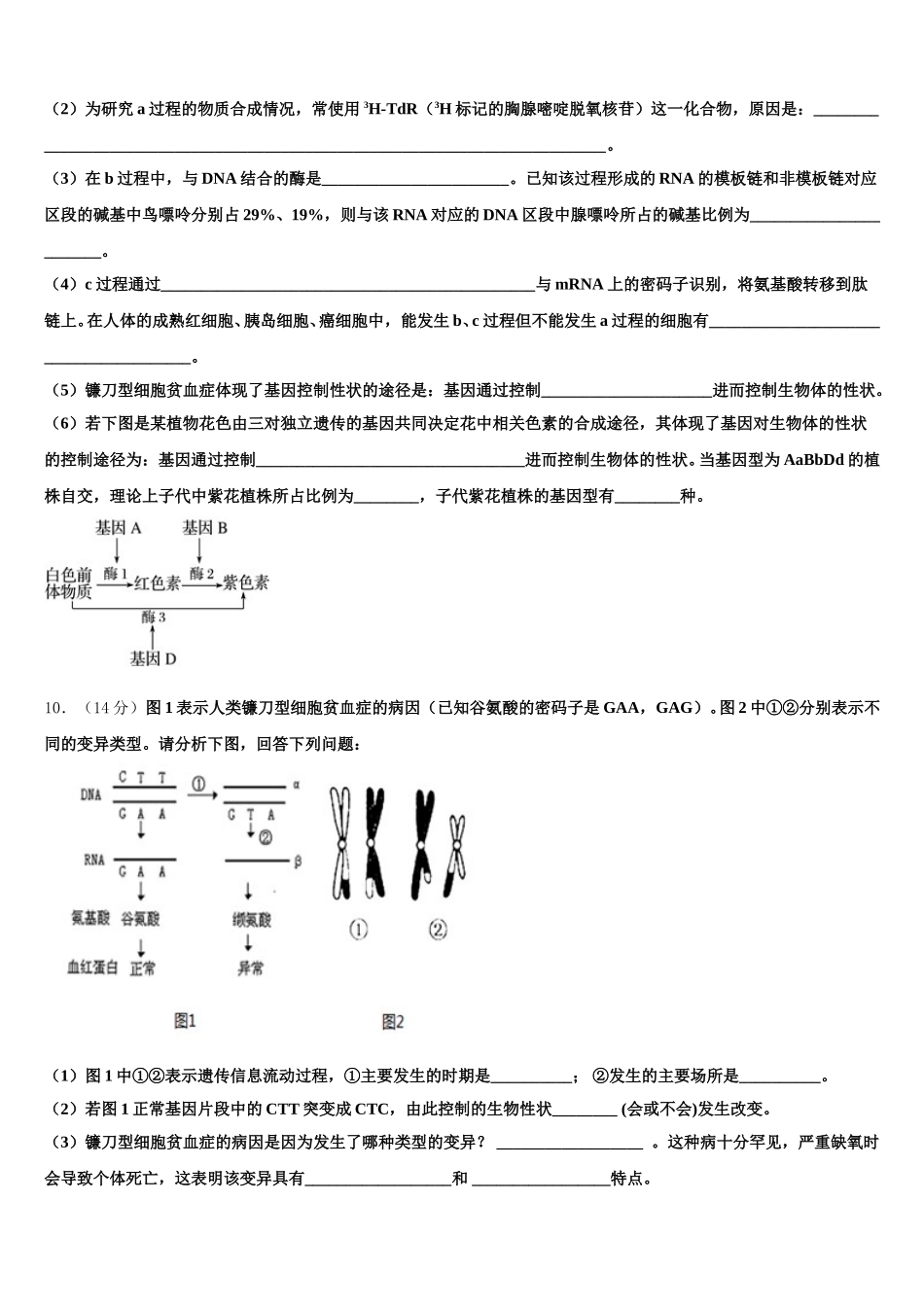 广东省揭阳普宁市2025届高一下生物期末复习检测模拟试题含解析_第3页