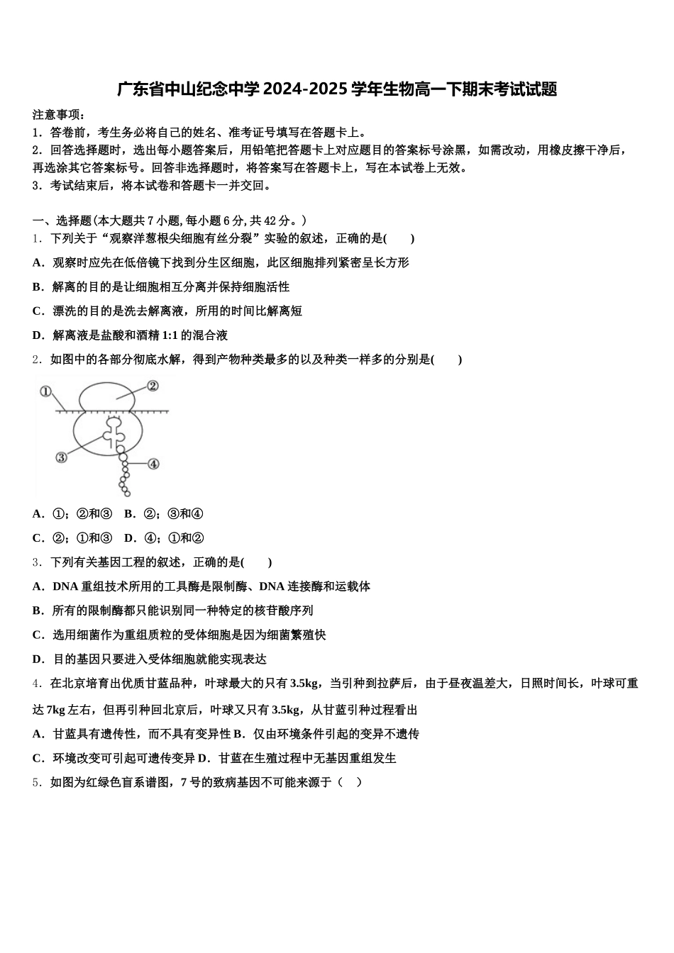广东省中山纪念中学2024-2025学年生物高一下期末考试试题含解析_第1页