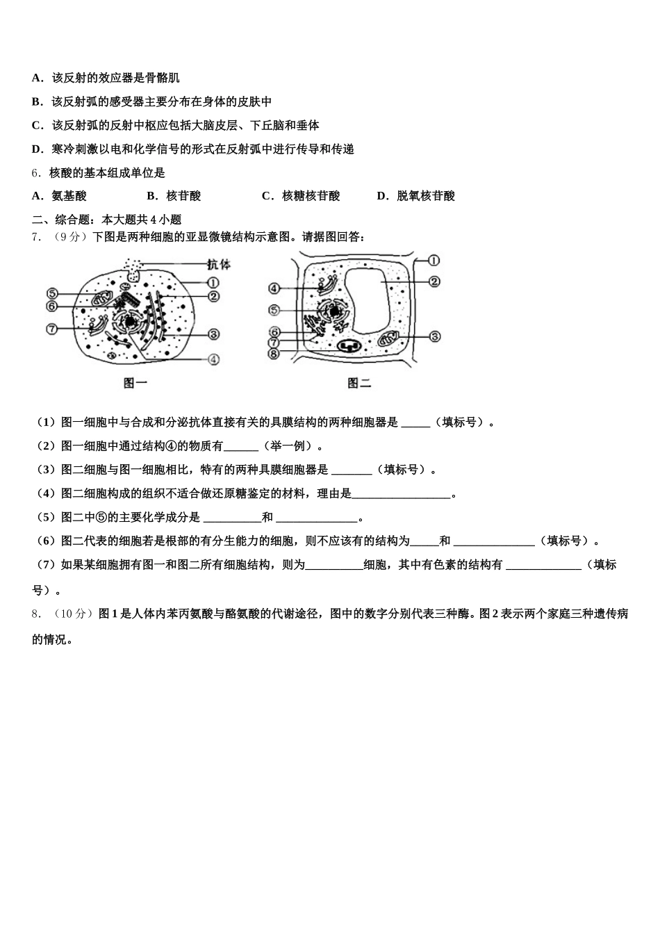 广州市培正中学2025年高一下生物期末联考试题含解析_第2页