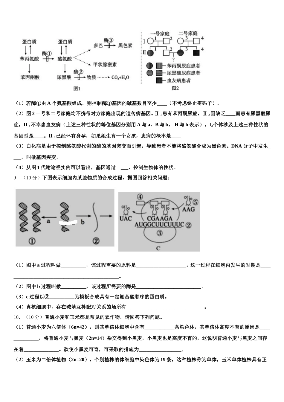 广州市培正中学2025年高一下生物期末联考试题含解析_第3页