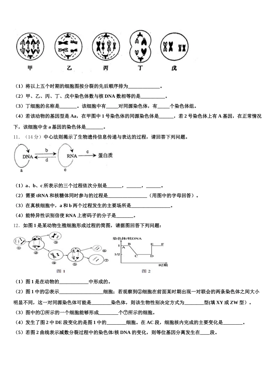 2025届广州天河区广州中学高一下生物期末统考试题含解析_第3页