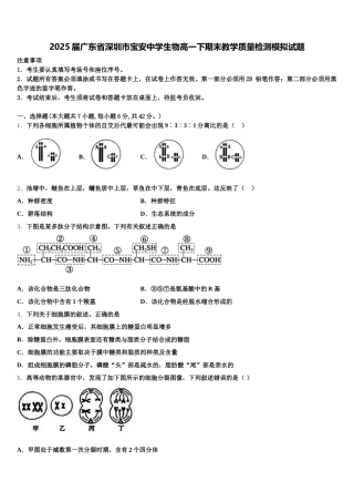 2025届广东省深圳市宝安中学生物高一下期末教学质量检测模拟试题含解析