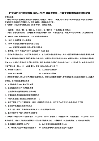 广东省广州市增城中学2024-2025学年生物高一下期末质量跟踪监视模拟试题含解析