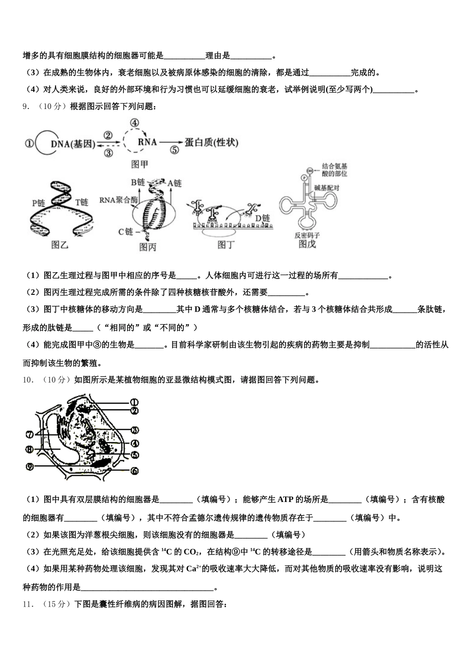 广东省深圳实验学校高中部2025届高一下生物期末教学质量检测试题含解析_第3页