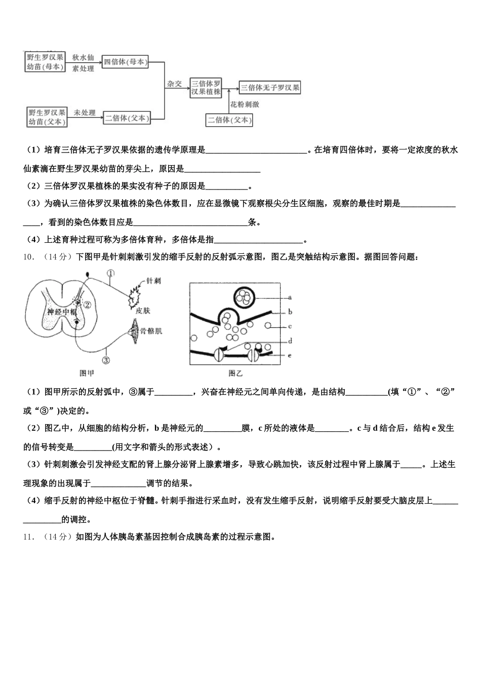 2025届广东省华附南海实验高中生物高一下期末综合测试模拟试题含解析_第3页