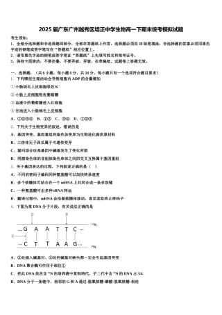 2025届广东广州越秀区培正中学生物高一下期末统考模拟试题含解析