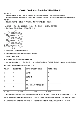 广东省江门一中2025年生物高一下期末经典试题含解析