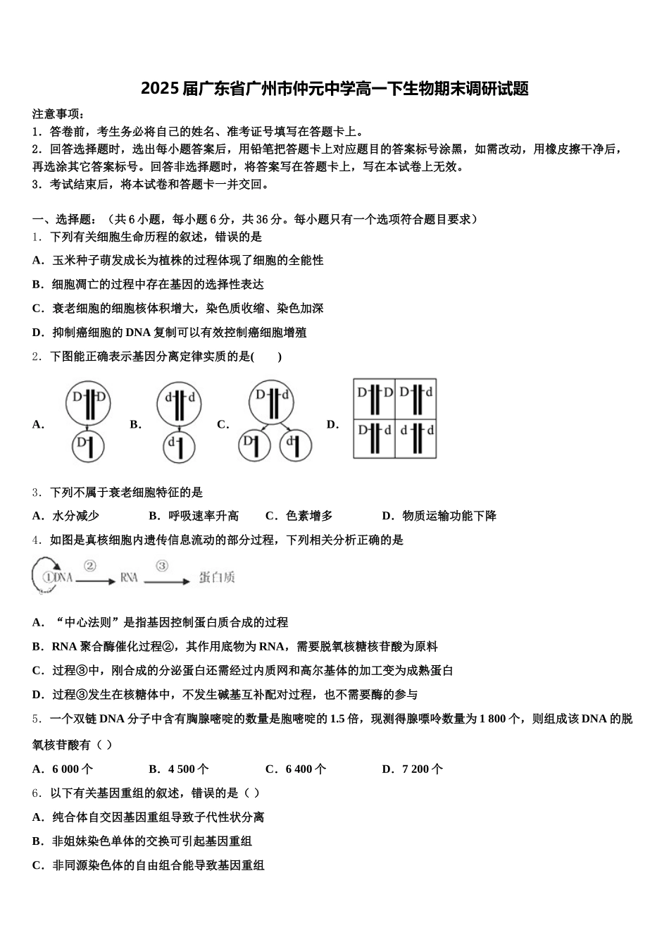 2025届广东省广州市仲元中学高一下生物期末调研试题含解析_第1页