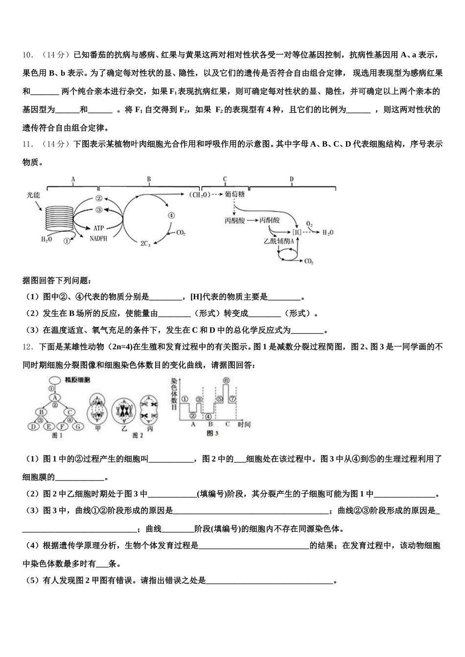 2024-2025学年深圳市新安中学高一下生物期末调研模拟试题含解析_第3页