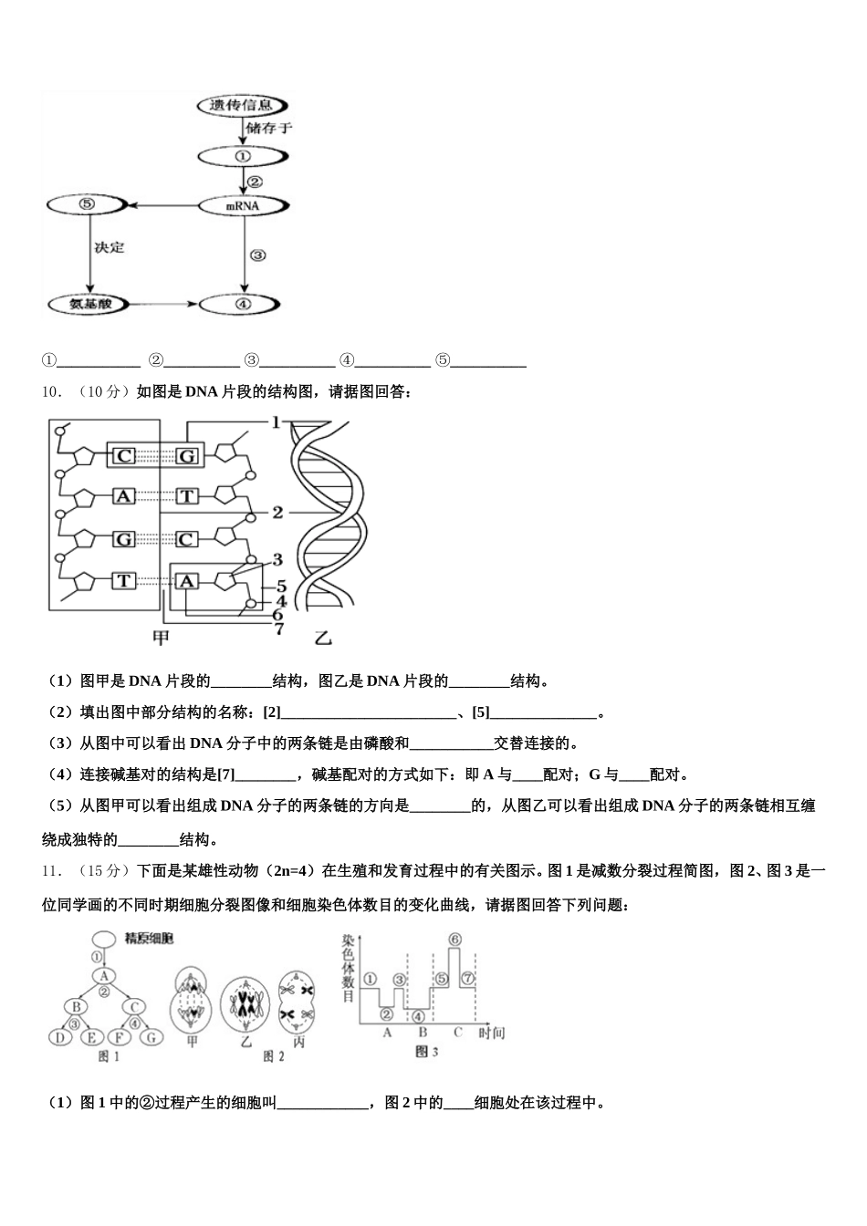 茂名市重点中学2025届生物高一第二学期期末质量检测试题含解析_第3页