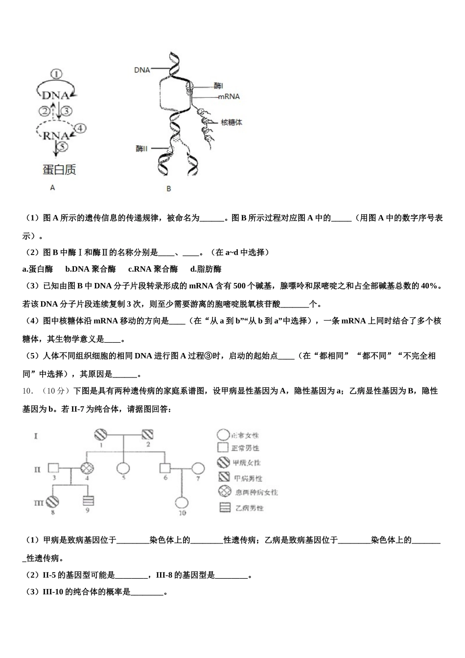 广东省肇庆市实验中学、广东省高要市新桥中学两校2025届生物高一第二学期期末质量跟踪监视模拟试题含解析_第3页