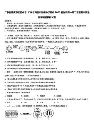 广东省肇庆市实验中学、广东省高要市新桥中学两校2025届生物高一第二学期期末质量跟踪监视模拟试题含解析