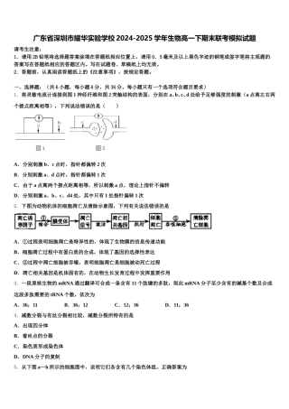广东省深圳市耀华实验学校2024-2025学年生物高一下期末联考模拟试题含解析