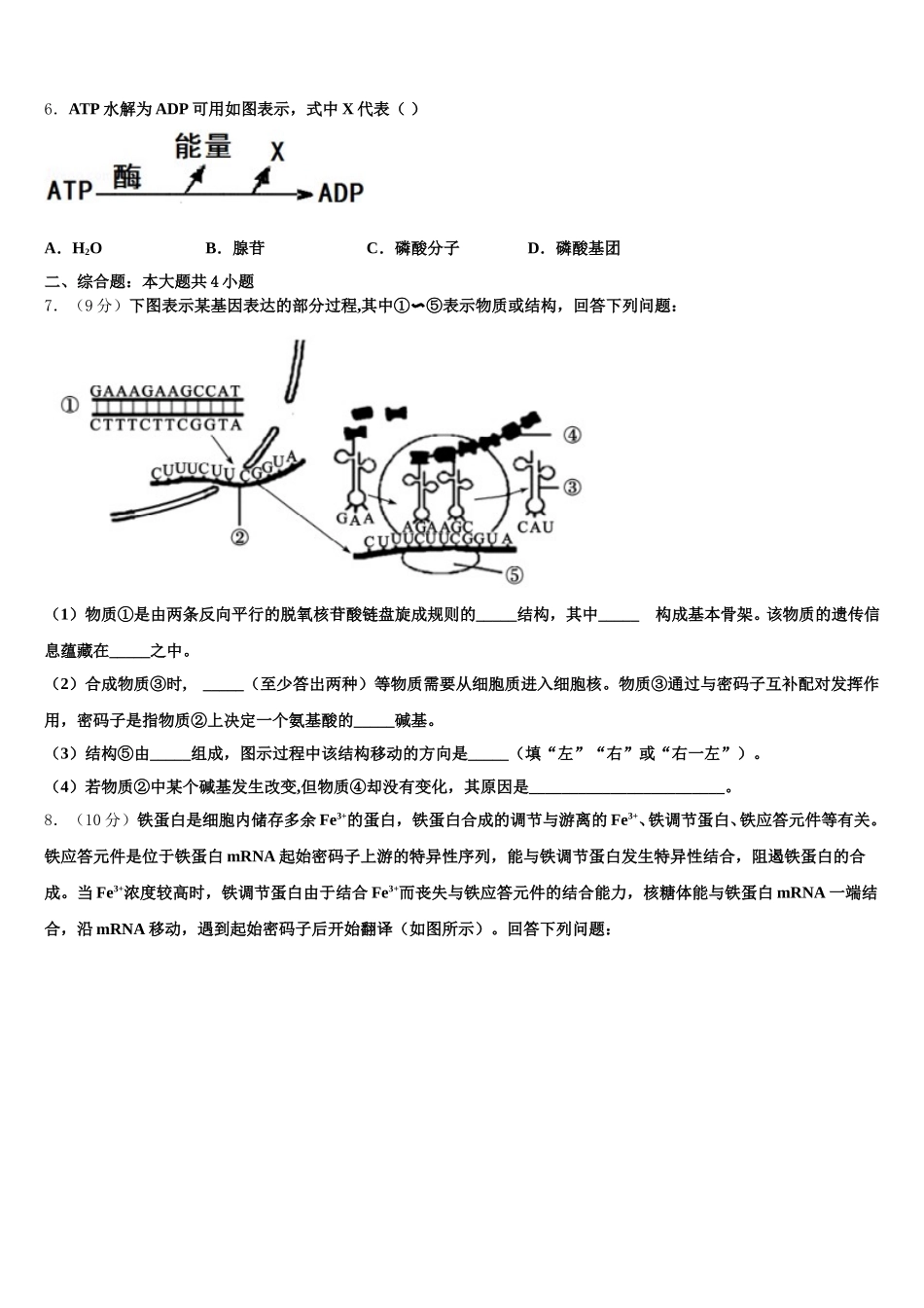 广东省湛江第一中学2024-2025学年高一下生物期末调研试题含解析_第2页