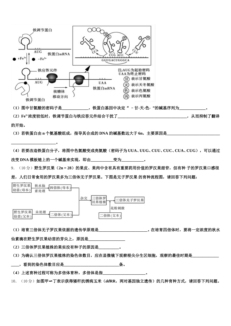 广东省湛江第一中学2024-2025学年高一下生物期末调研试题含解析_第3页