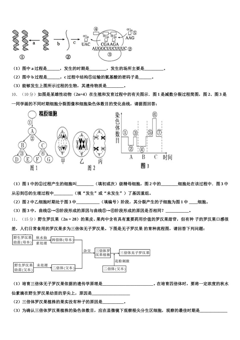 广东省汕头潮阳区2025届生物高一第二学期期末考试试题含解析_第3页