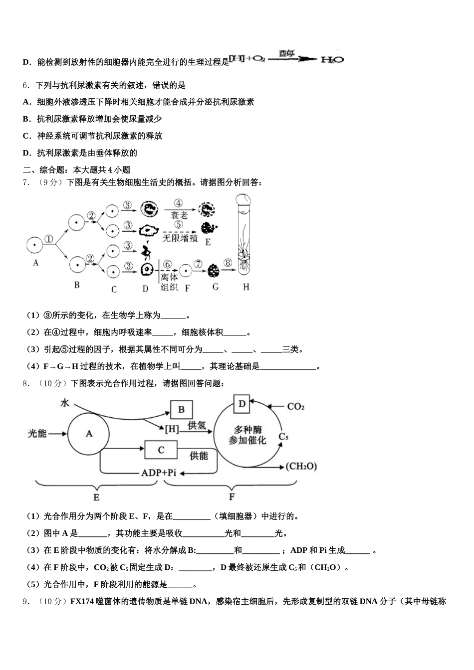 2024-2025学年广东省普宁市华美实验中学生物高一第二学期期末联考模拟试题含解析_第2页
