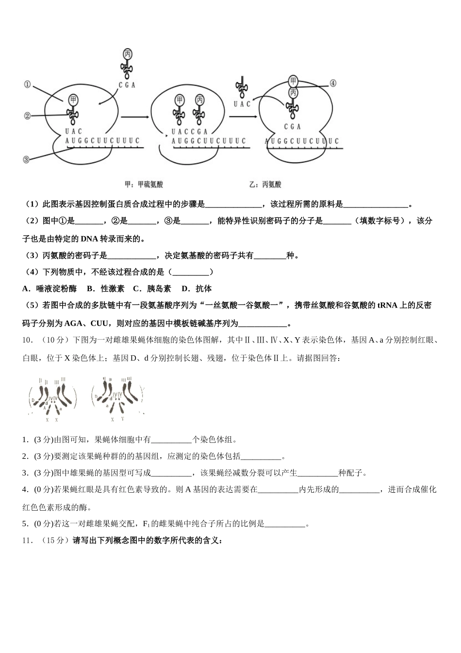 广东省深圳市菁华中英文实验中学2024-2025学年高一下生物期末调研试题含解析_第3页