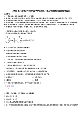 2025年广东省兴宁市水口中学生物高一第二学期期末监测模拟试题含解析