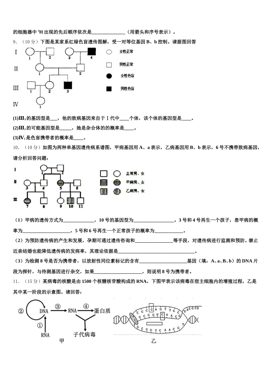2024-2025学年广东省深圳市耀华实验学校生物高一下期末学业水平测试模拟试题含解析_第3页