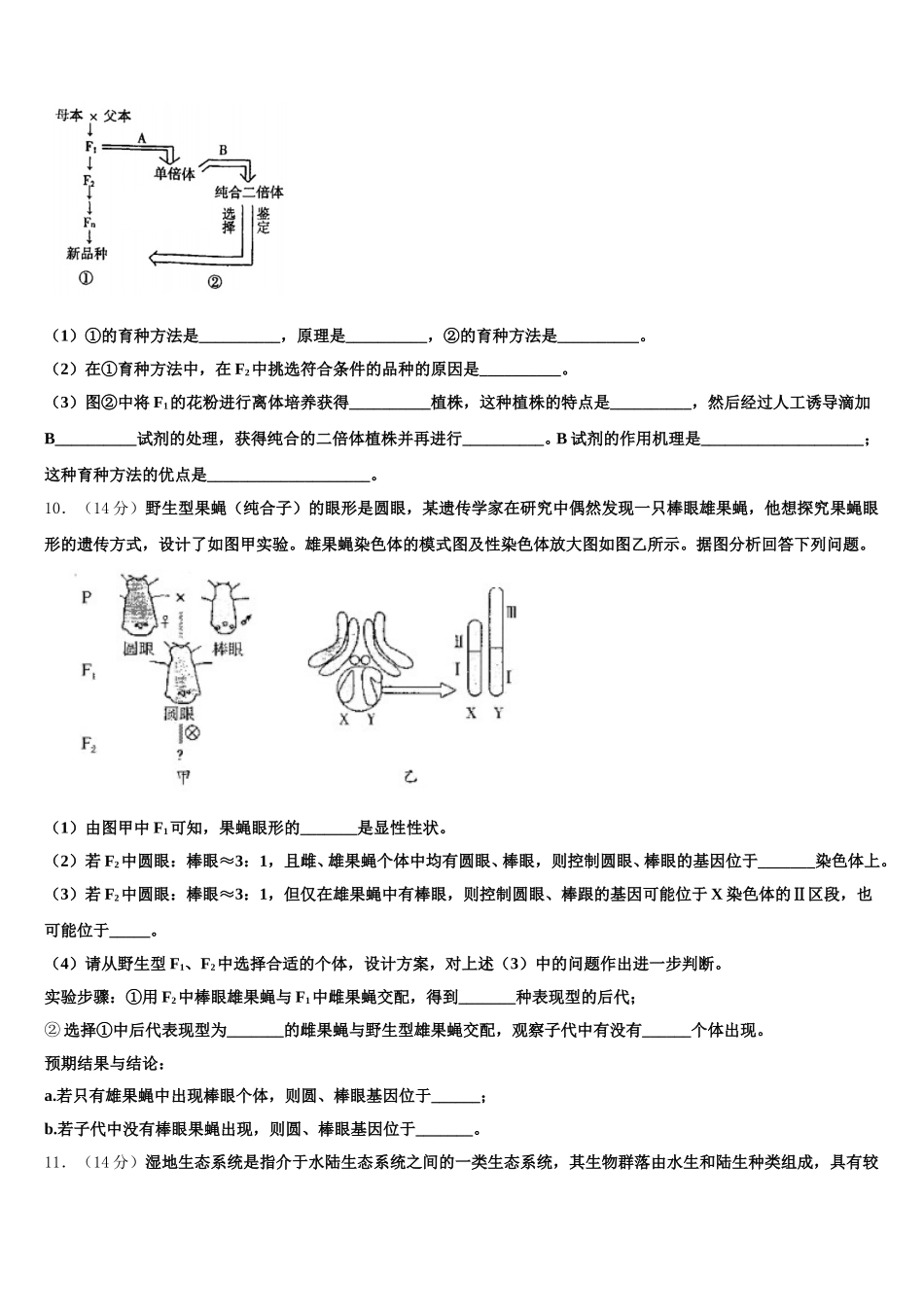广东省东莞市东方明珠学校2025年高一下生物期末质量检测试题含解析_第3页
