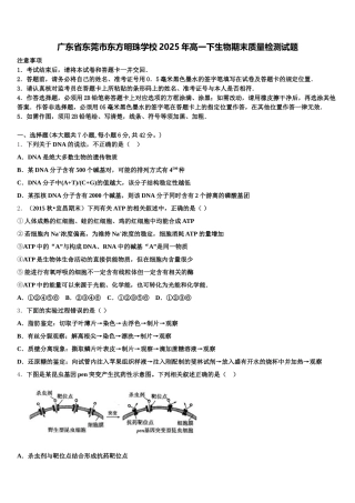 广东省东莞市东方明珠学校2025年高一下生物期末质量检测试题含解析