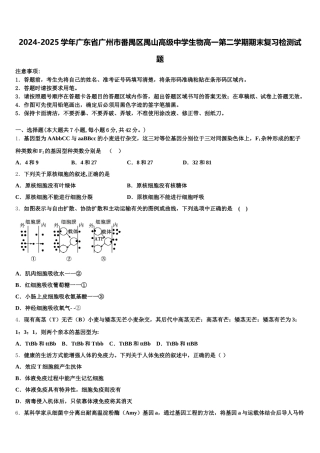 2024-2025学年广东省广州市番禺区禺山高级中学生物高一第二学期期末复习检测试题含解析