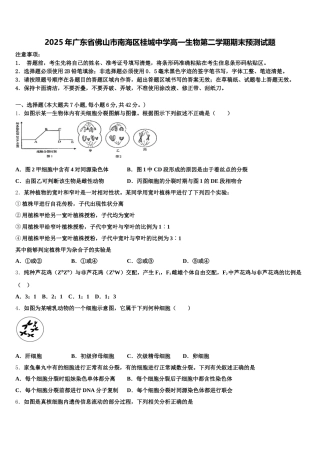 2025年广东省佛山市南海区桂城中学高一生物第二学期期末预测试题含解析