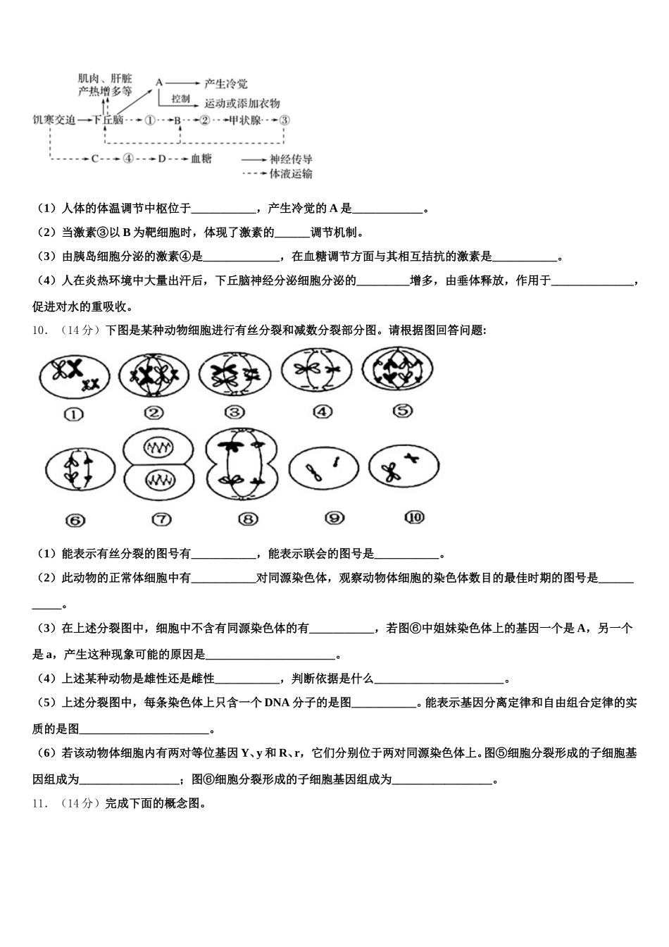 广东省普宁市第二中学等七校联合体2024-2025学年生物高一第二学期期末复习检测模拟试题含解析_第3页