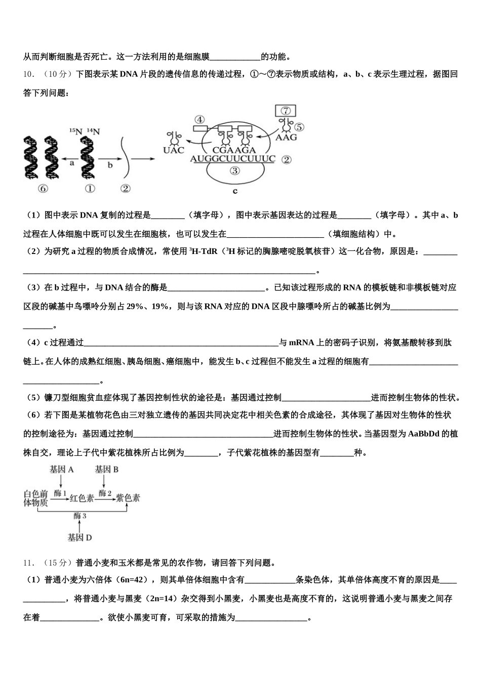 2025届汕尾市重点中学生物高一下期末监测试题含解析_第3页