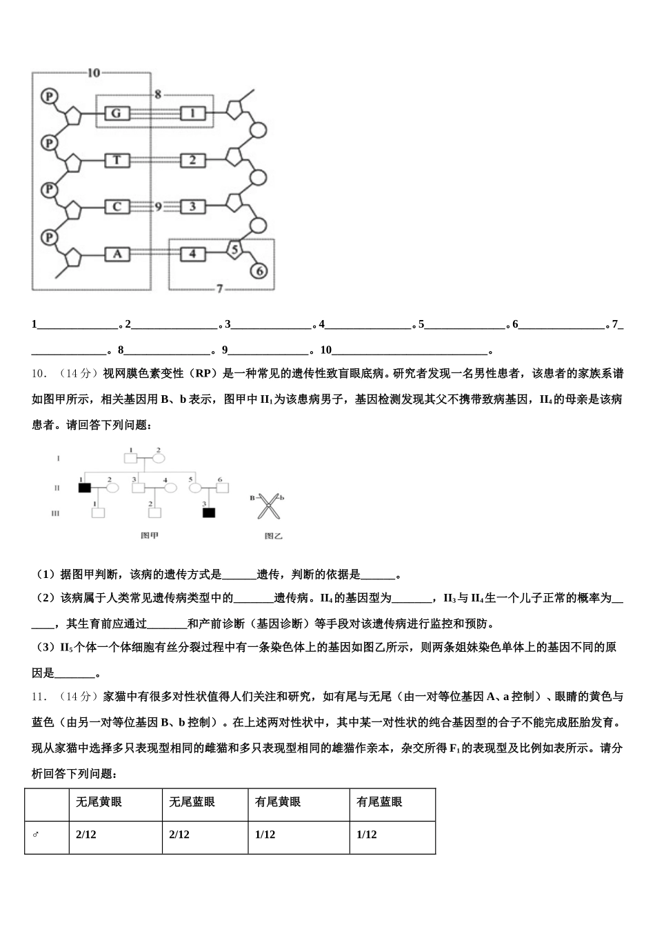 2024-2025学年广东省珠海市金湾区外国语学校生物高一第二学期期末教学质量检测模拟试题含解析_第3页