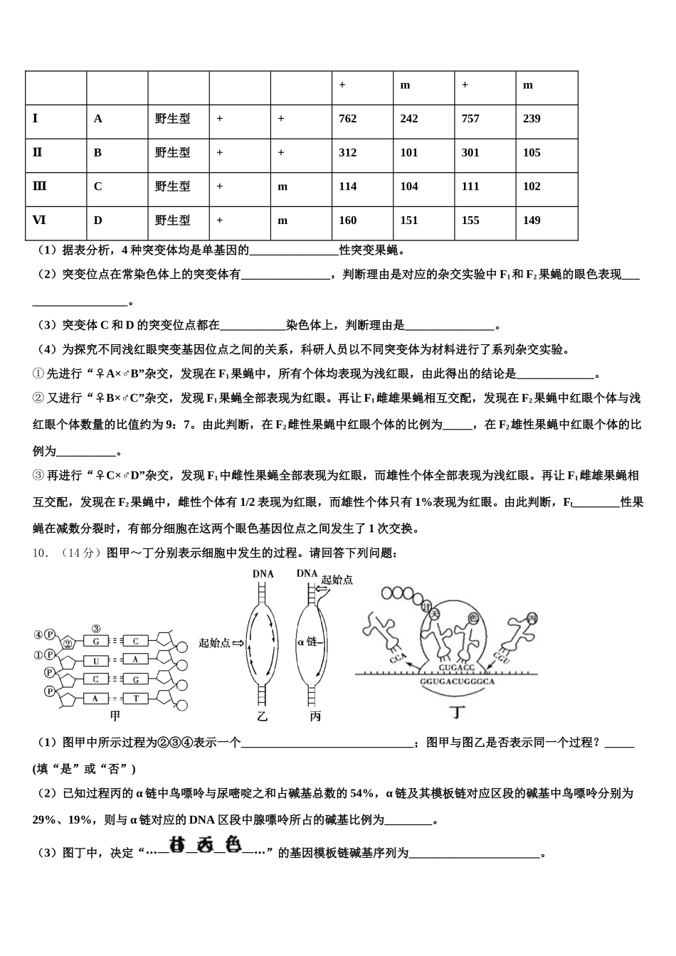 2025届广东汕头市高一生物第二学期期末学业质量监测模拟试题含解析_第3页