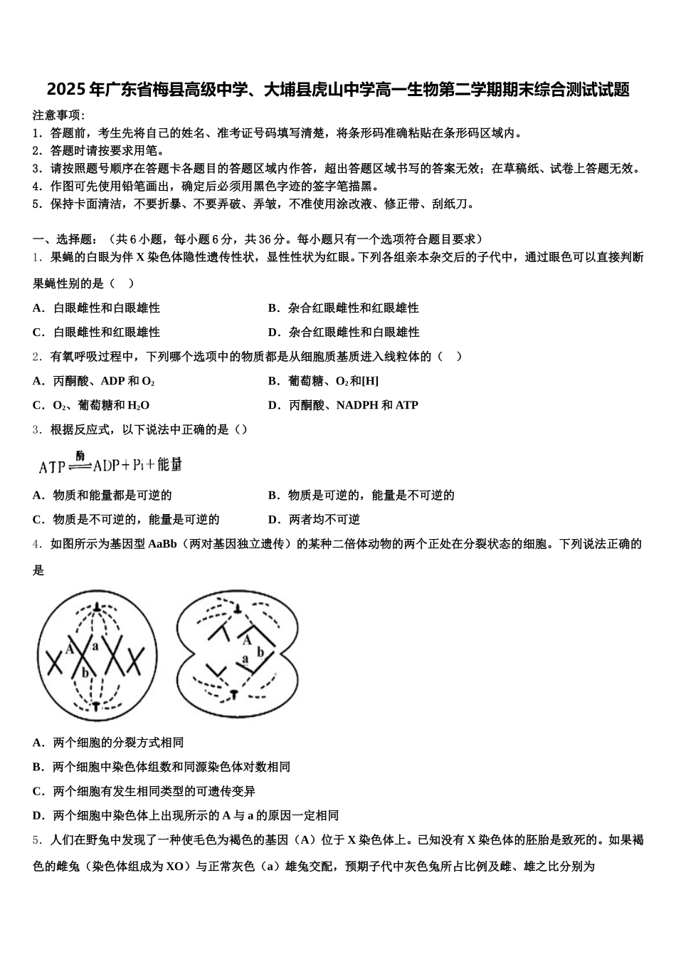 2025年广东省梅县高级中学、大埔县虎山中学高一生物第二学期期末综合测试试题含解析_第1页