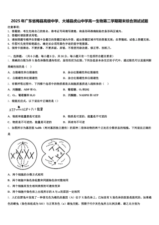 2025年广东省梅县高级中学、大埔县虎山中学高一生物第二学期期末综合测试试题含解析