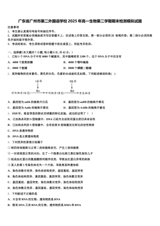 广东省广州市第二外国语学校2025年高一生物第二学期期末检测模拟试题含解析