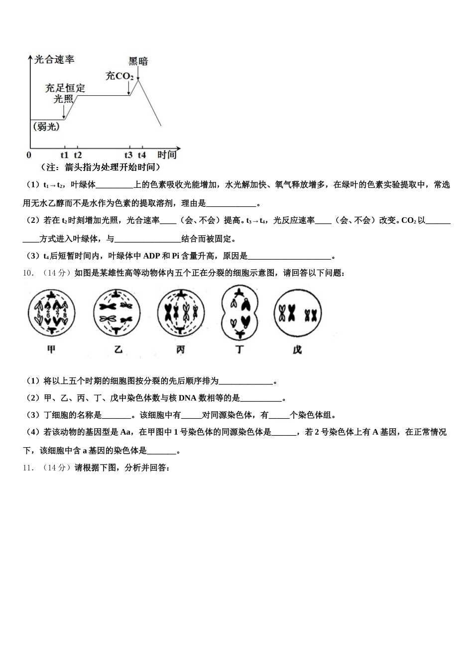 2025年广东省深圳中学高一下生物期末学业质量监测试题含解析_第3页