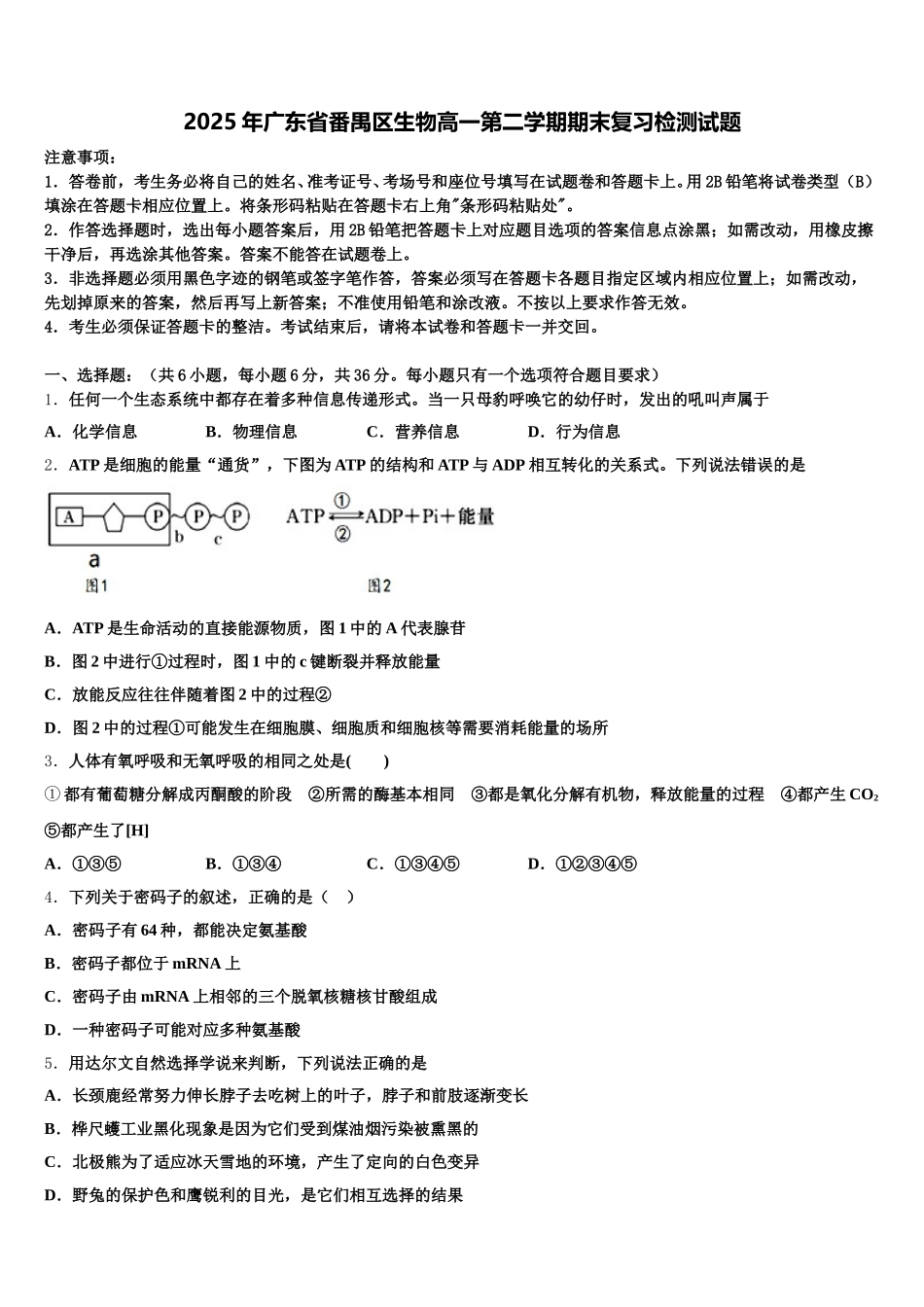 2025年广东省番禺区生物高一第二学期期末复习检测试题含解析_第1页