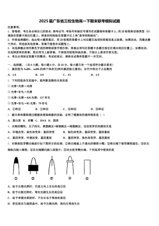 2025届广东省三校生物高一下期末联考模拟试题含解析