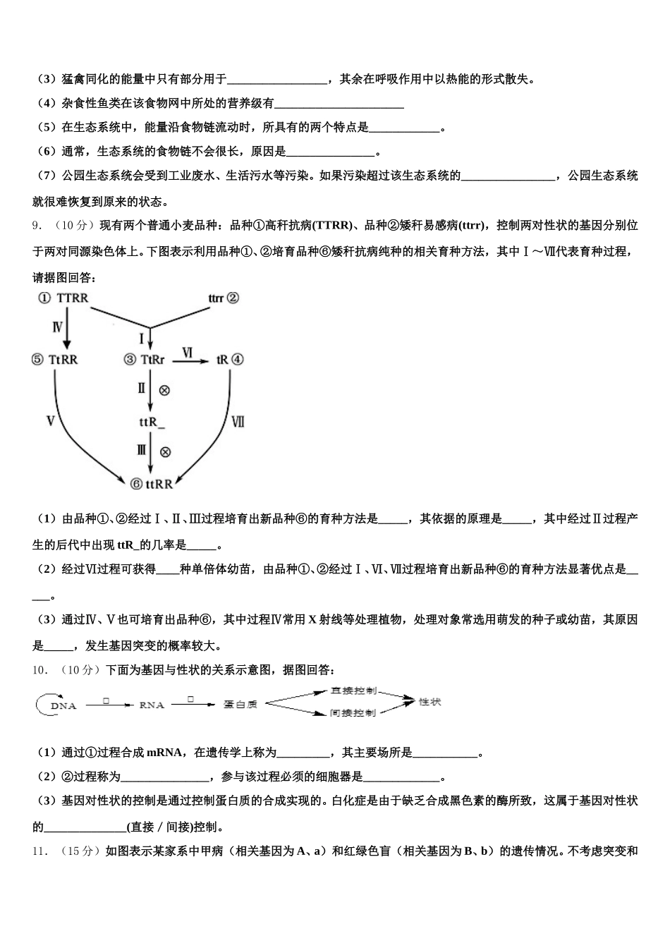 2025届广东省梅县东山中学高一生物第二学期期末检测模拟试题含解析_第3页